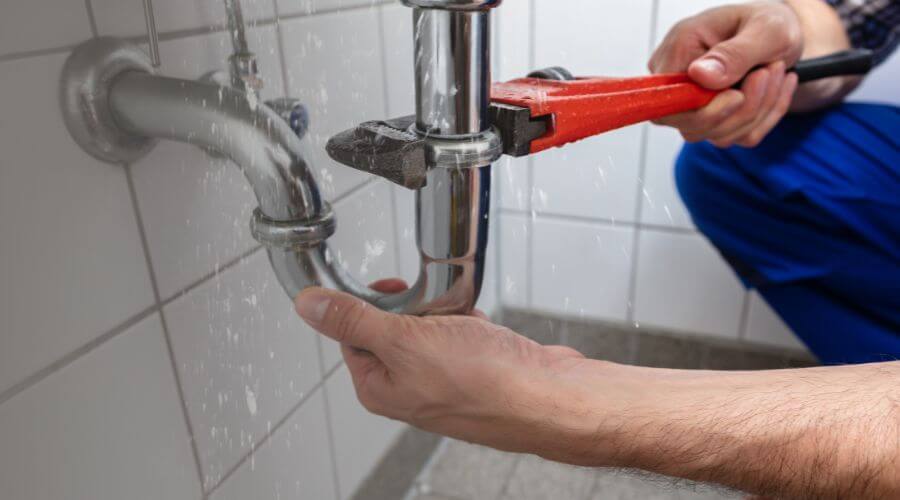 Professional Leak Detection services in Rhodelia, KY